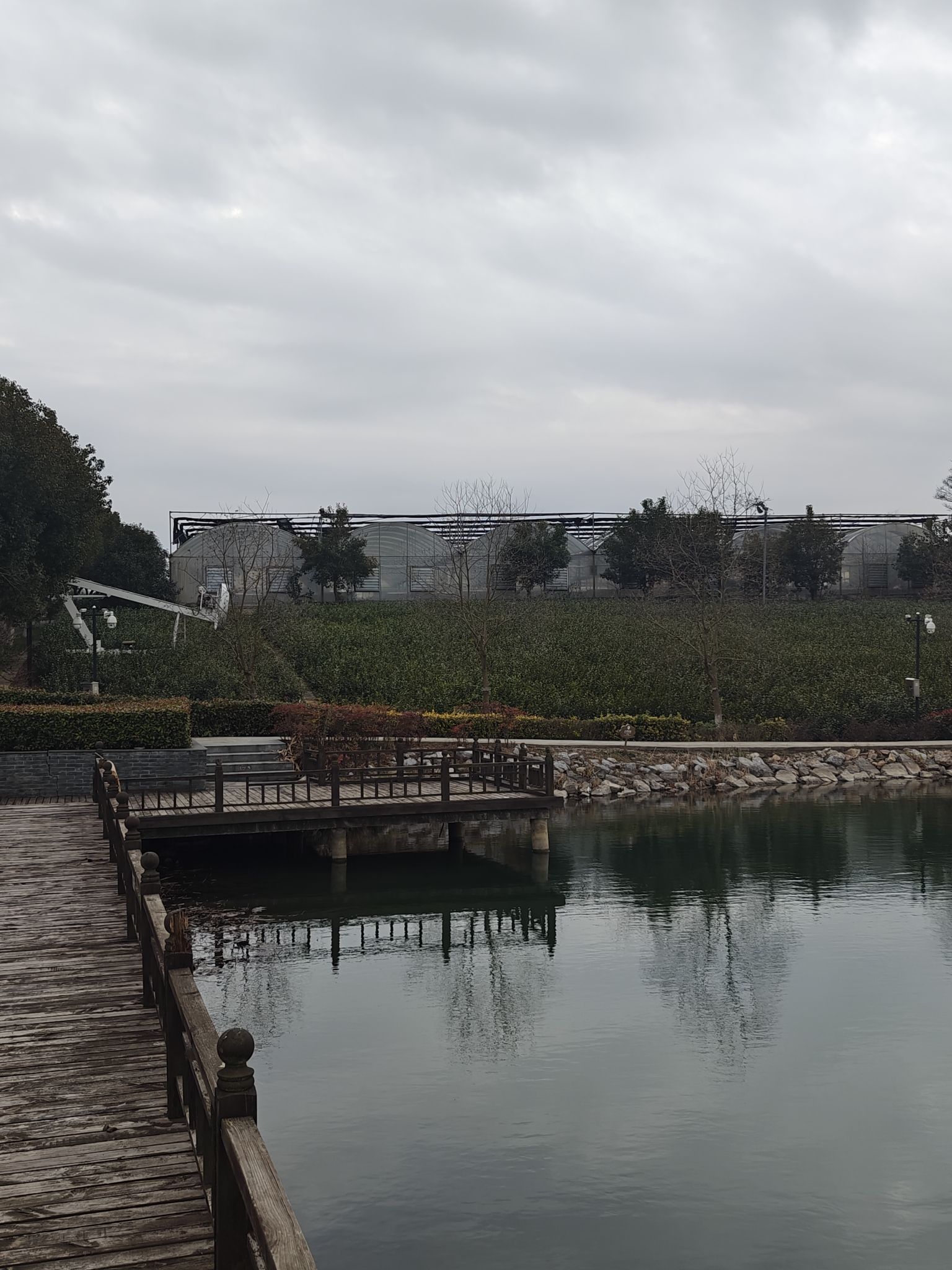 江苏茶博园旅行图片 1