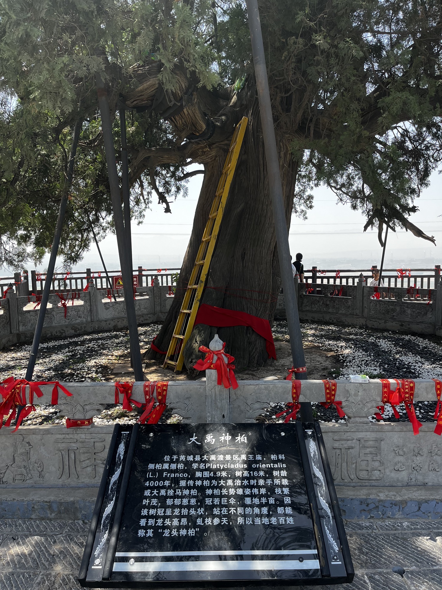 大禹渡黄河风景区旅行图片 3