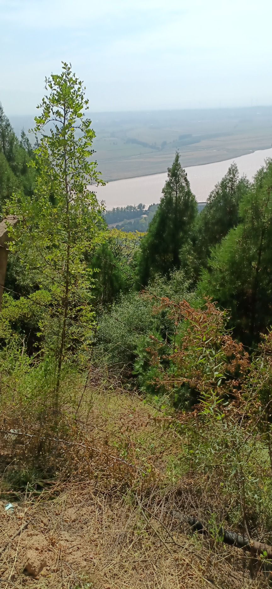 大禹渡黄河风景区旅行图片 2