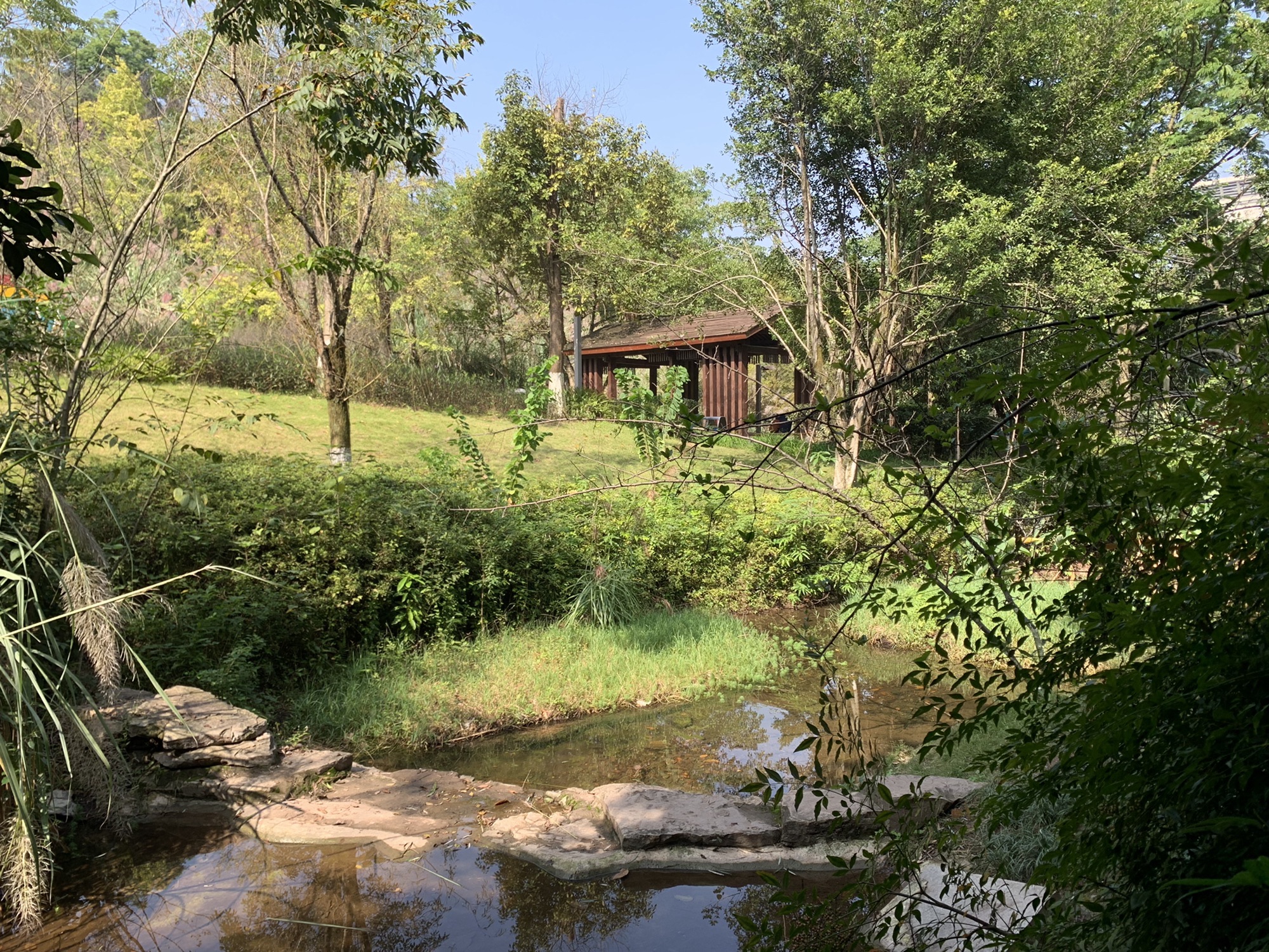 水体湿地公园旅行图片 2