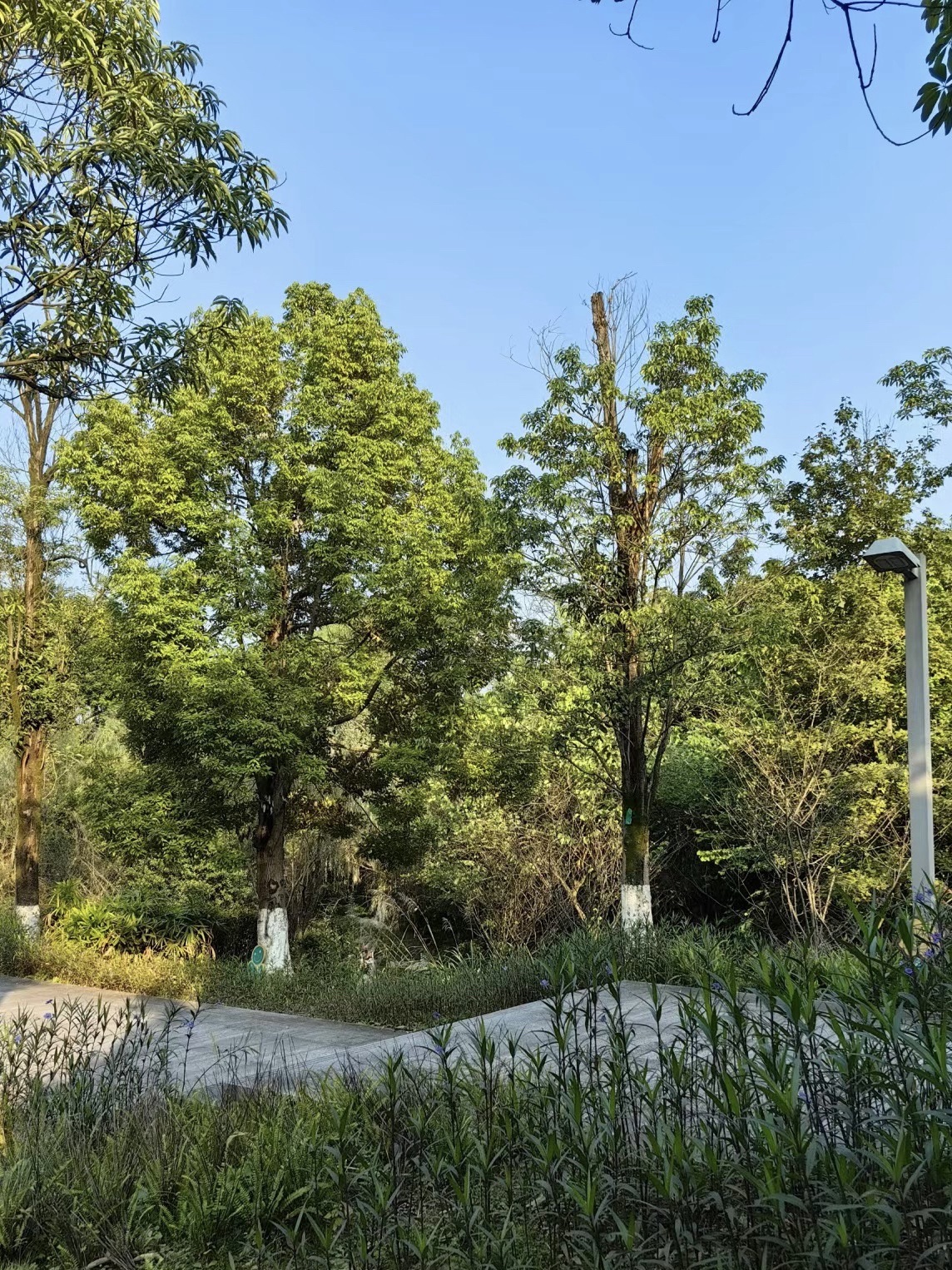 水体湿地公园旅行图片 3