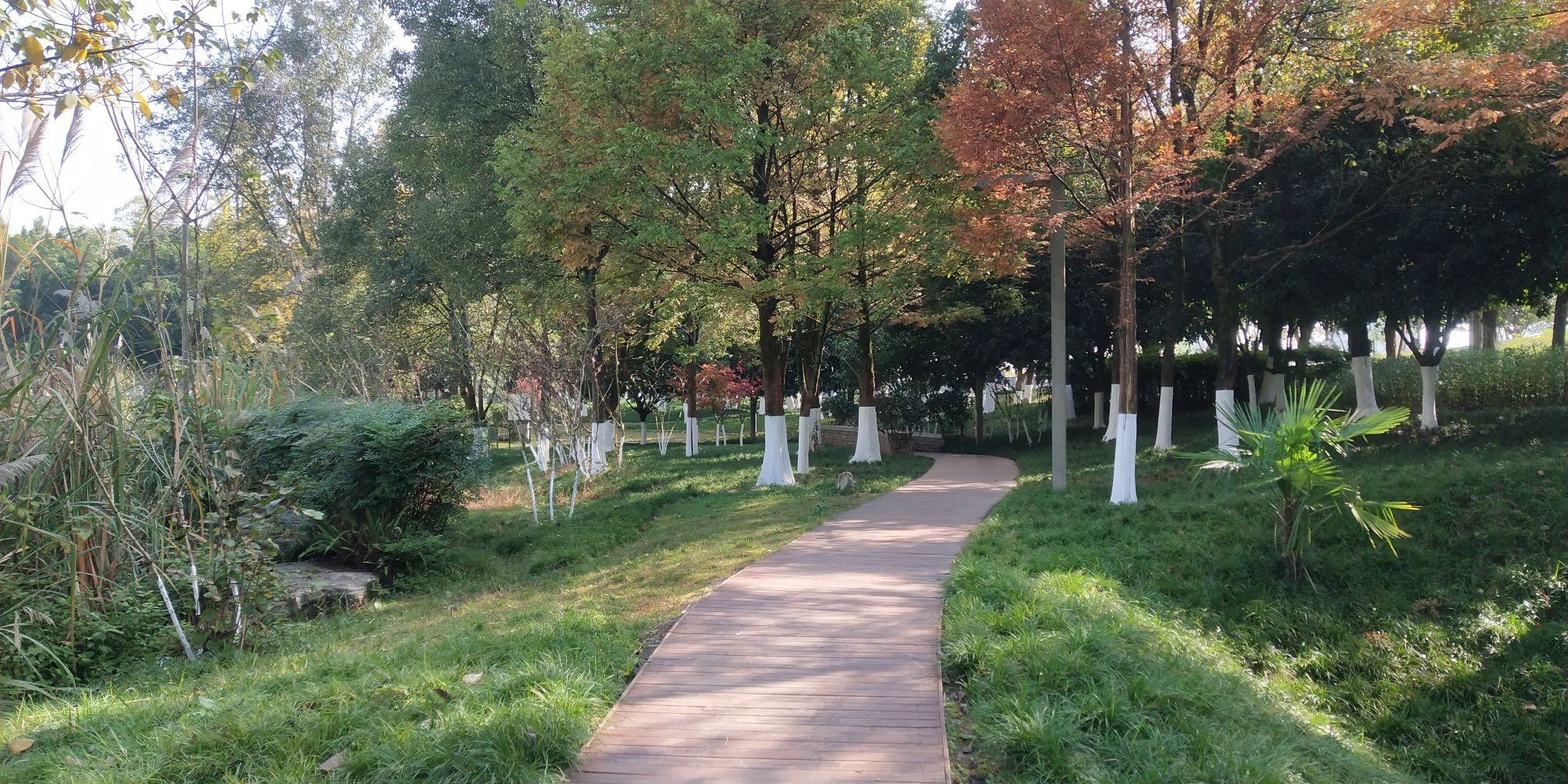 水体湿地公园旅行图片 3