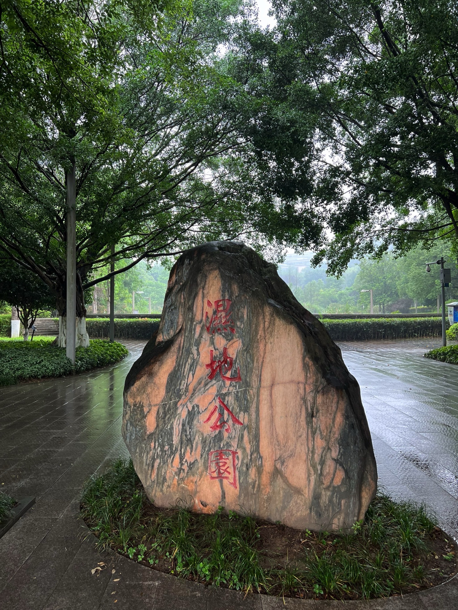 水体湿地公园旅行图片 1