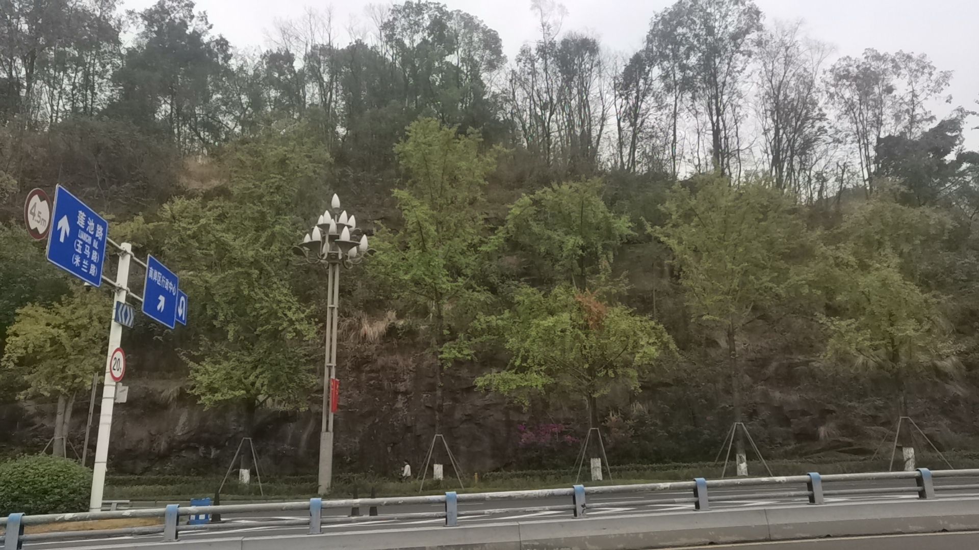 水体湿地公园旅行图片 2