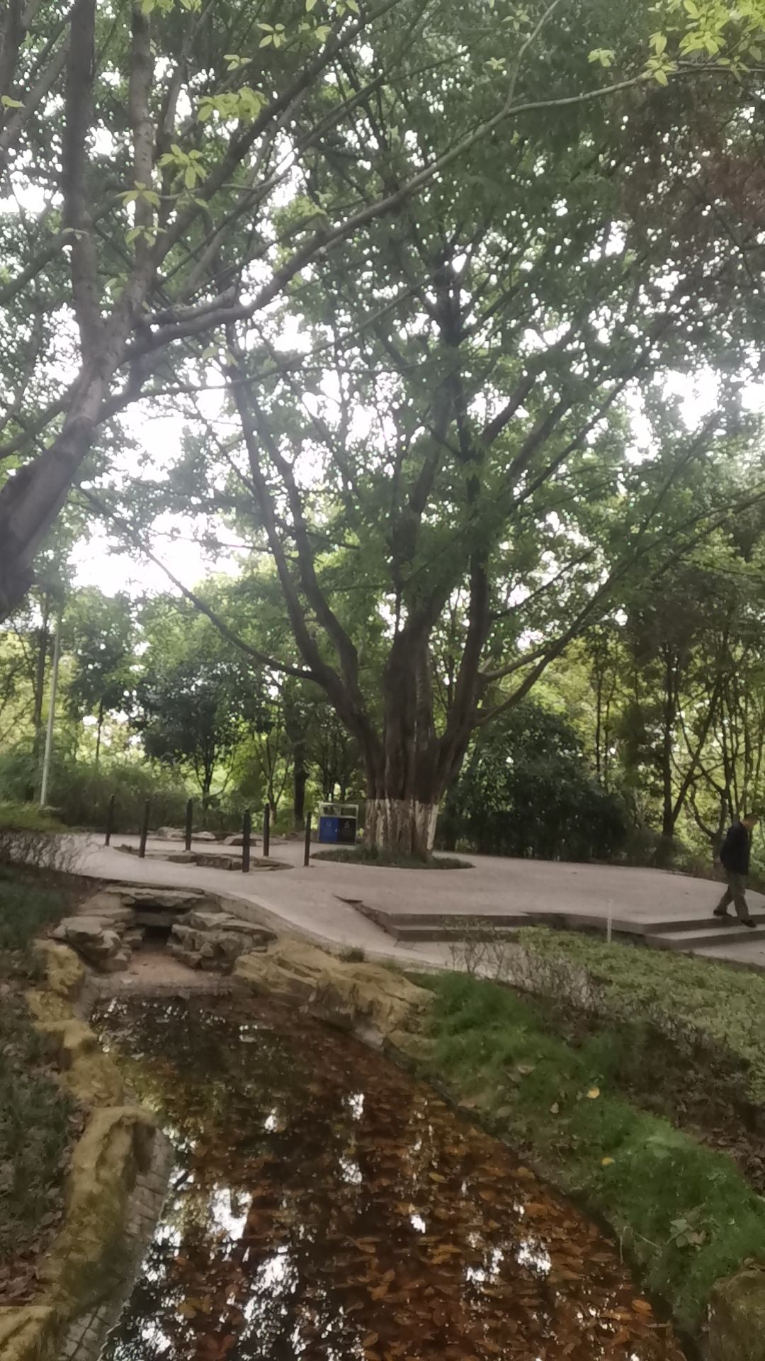 水体湿地公园旅行图片 3