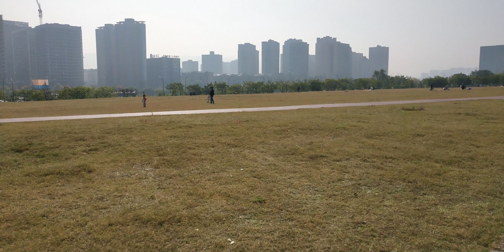 水体湿地公园旅行图片 1
