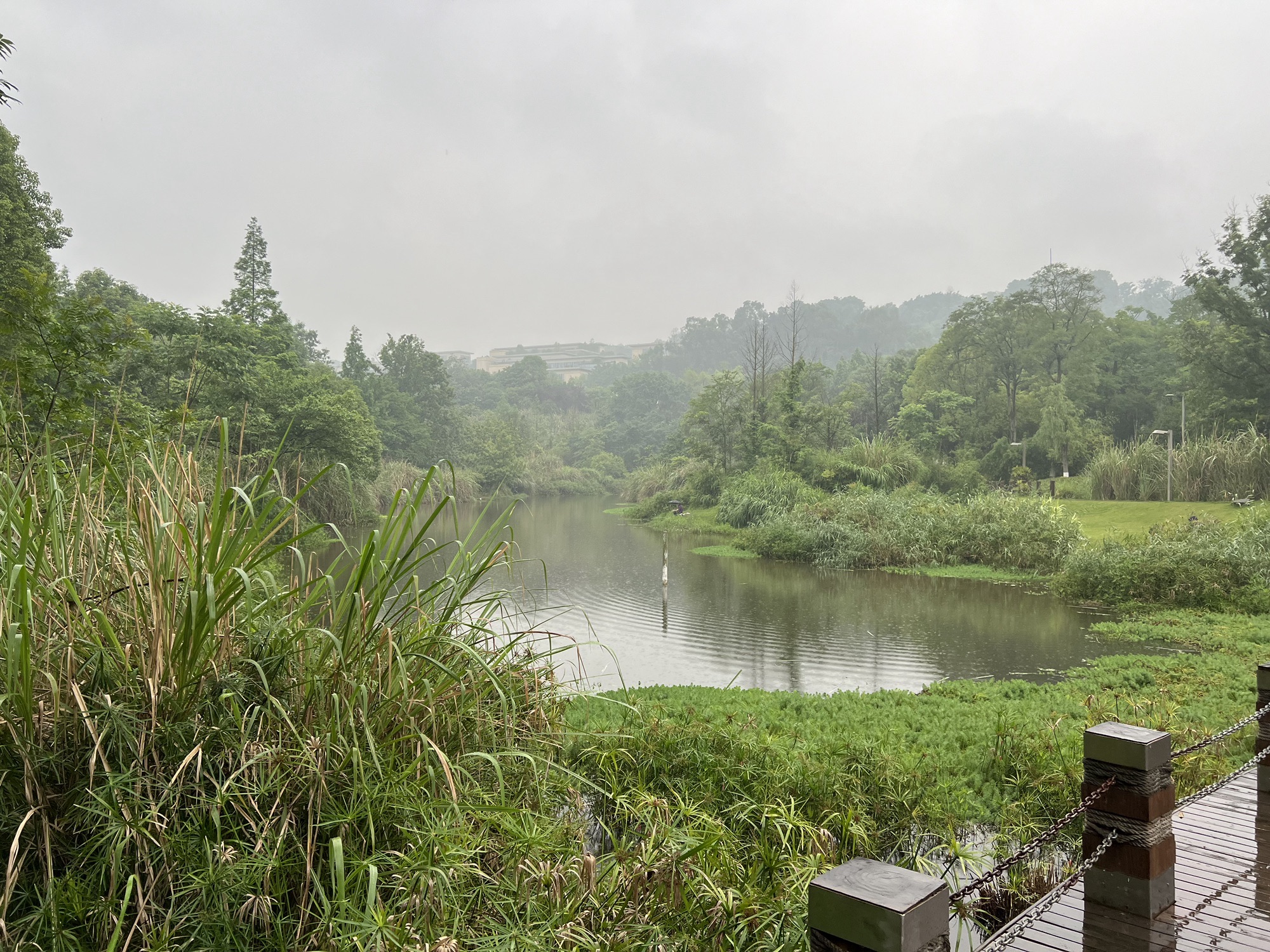 水体湿地公园旅行图片 3