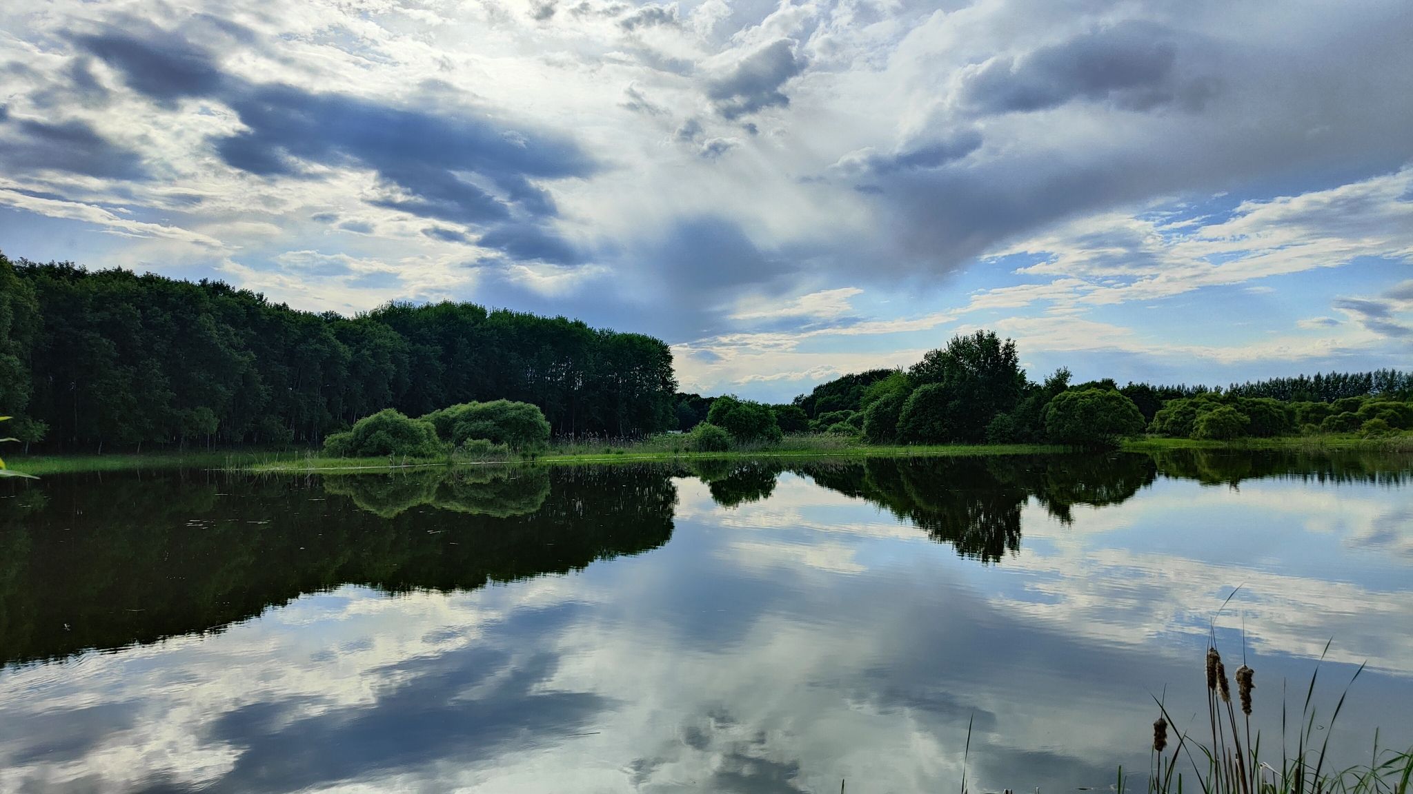 千岛林景区旅行图片 2