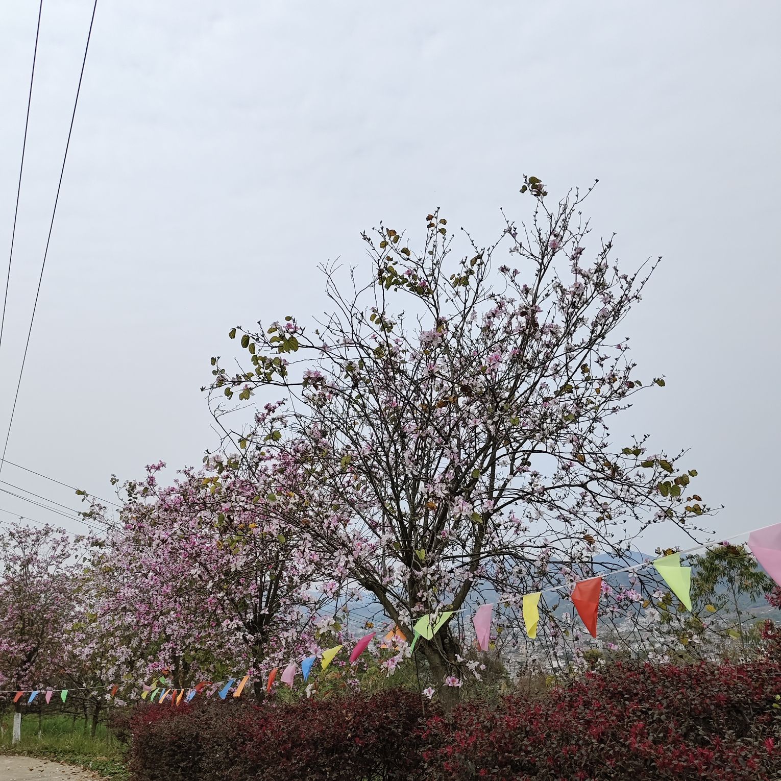 马运顶公园旅行图片 2