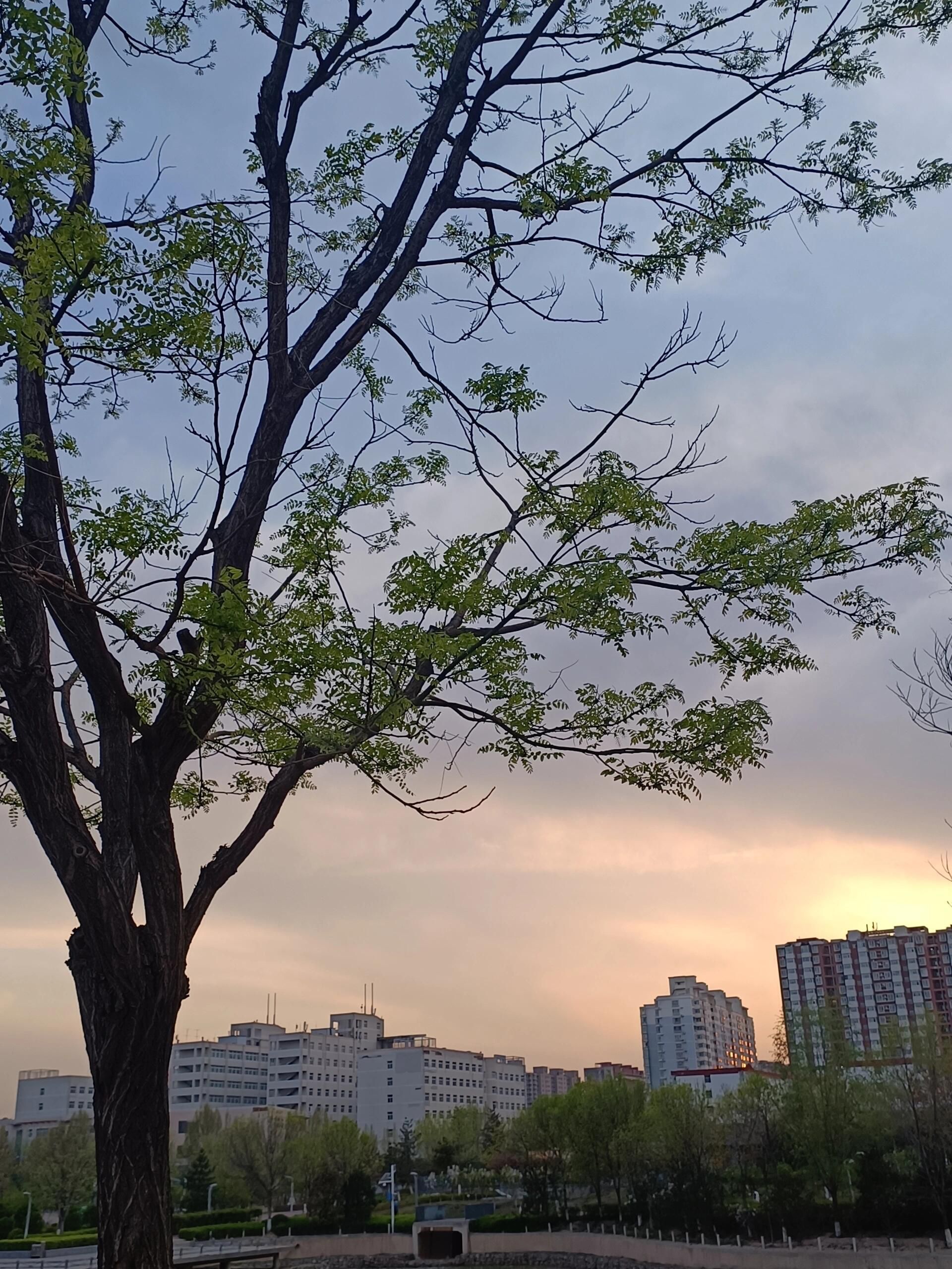 晋阳街公园旅行图片 2