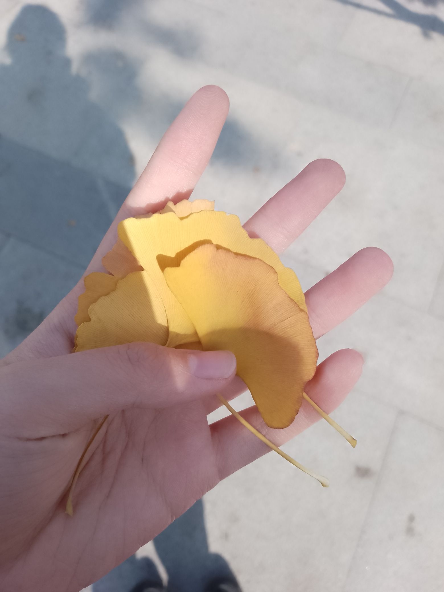 晋阳街公园旅行图片 2