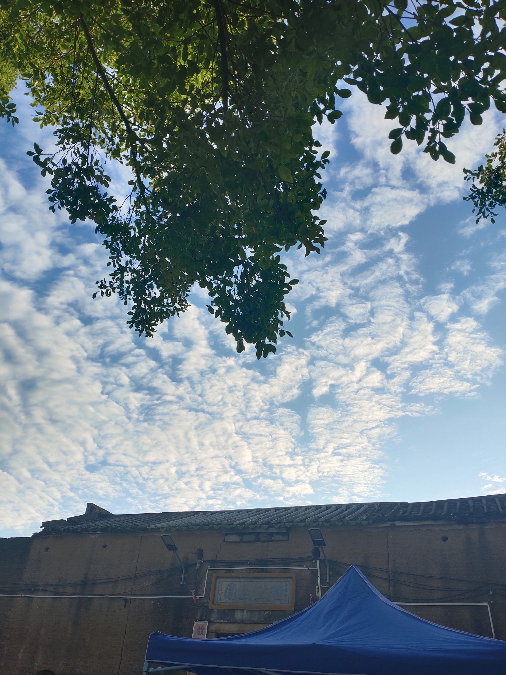 种玊上围旅行图片 2