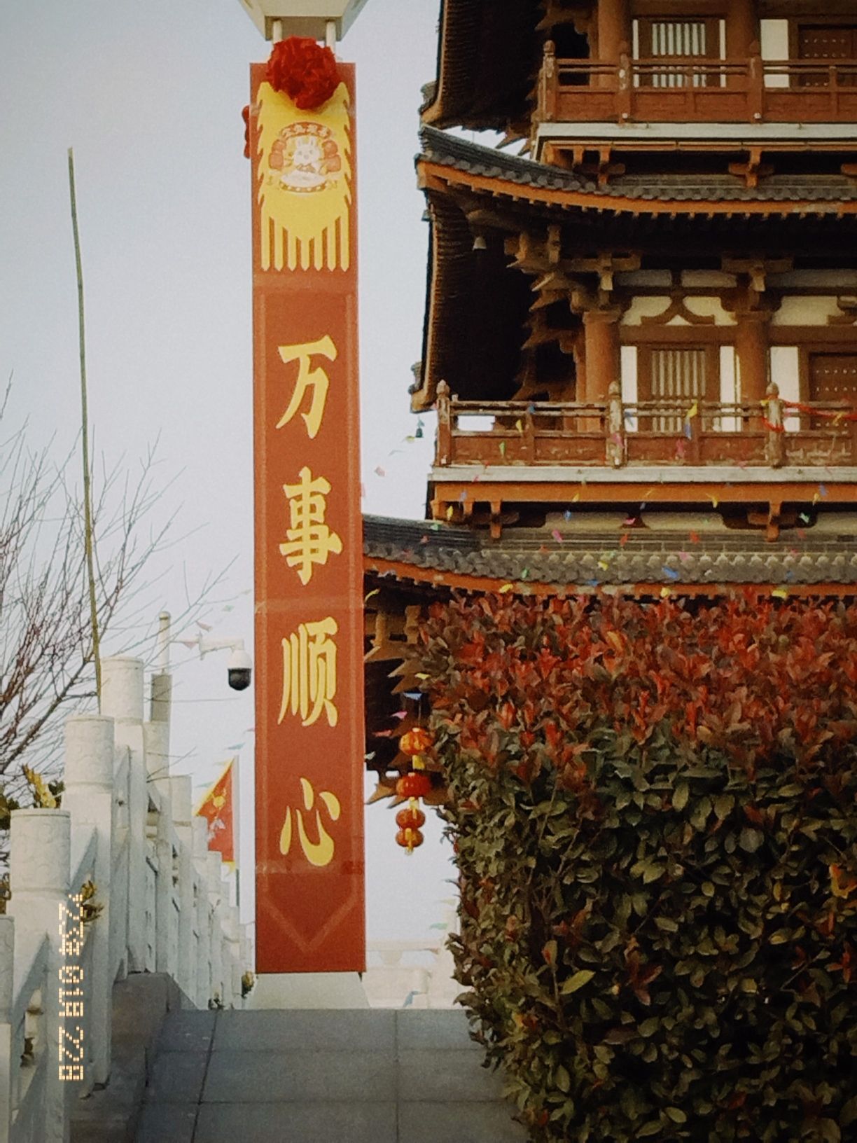 灵璧大庙白龙文化园(乡村旅游)旅行图片 3