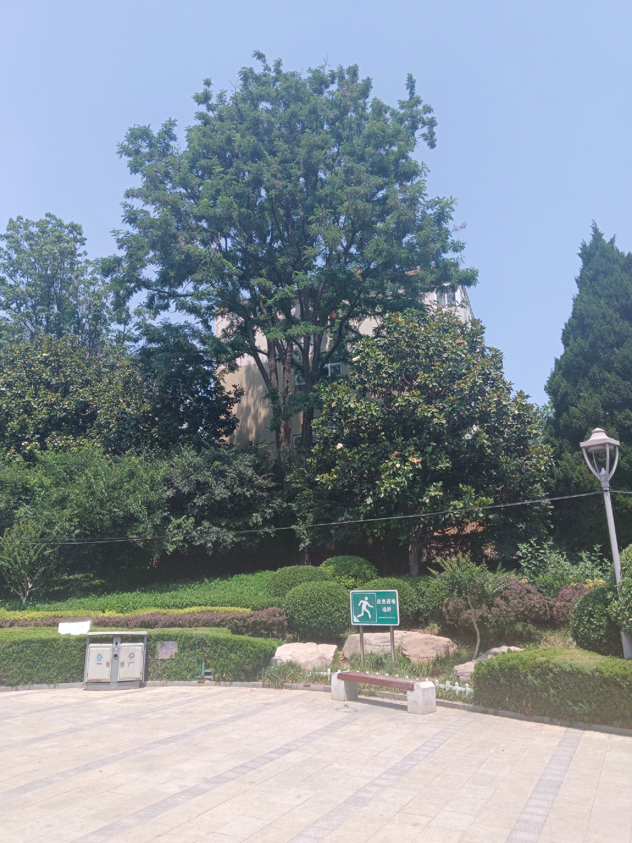 君峰路公园旅行图片 1