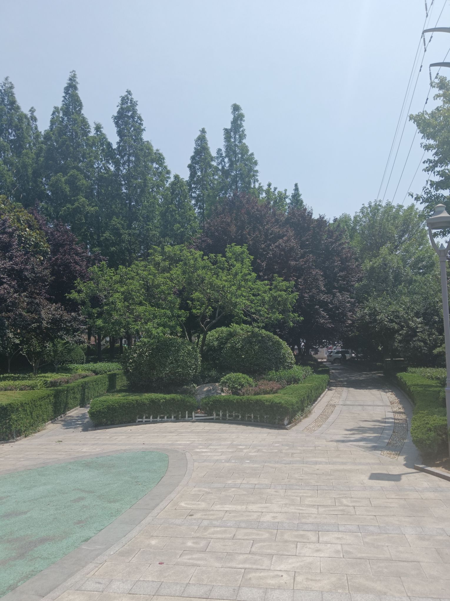 君峰路公园旅行图片 3