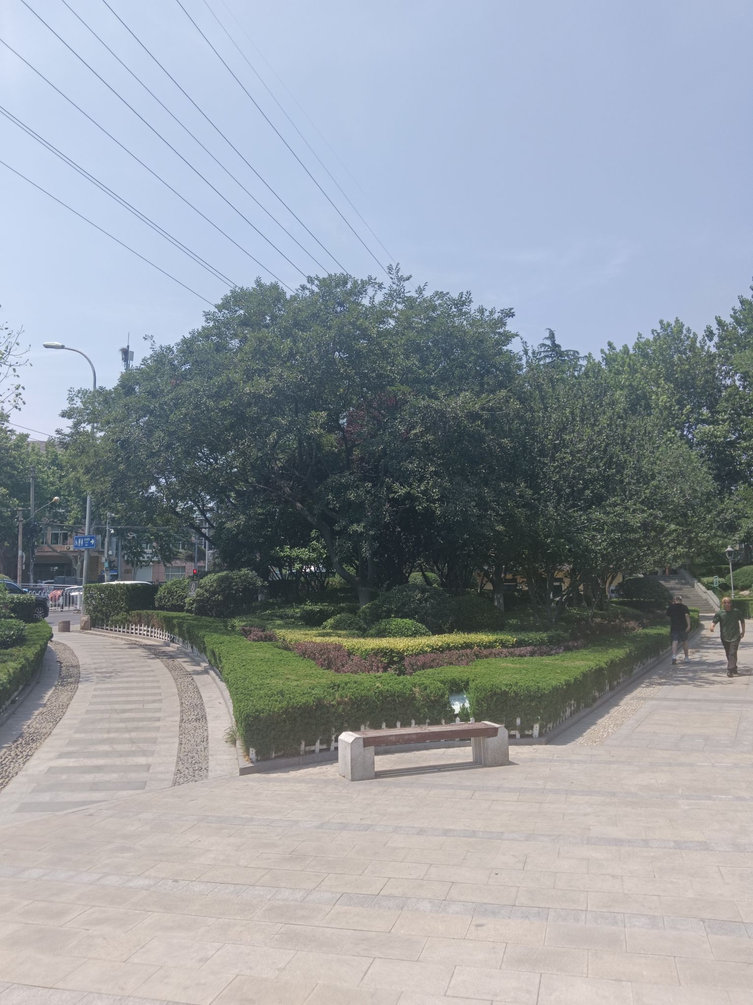君峰路公园旅行图片 2