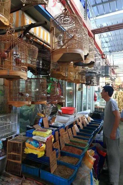 福州花鸟市场