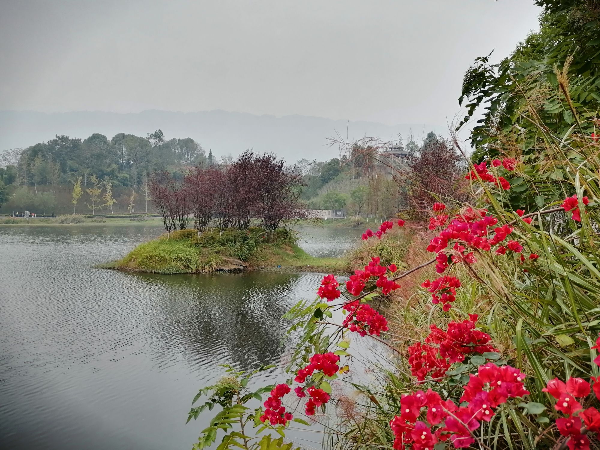 龙景湖公园旅行图片 3