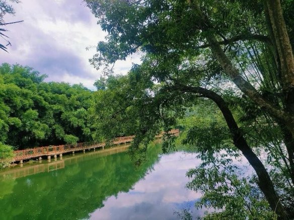 西古坡壮寨景区旅行图片 1