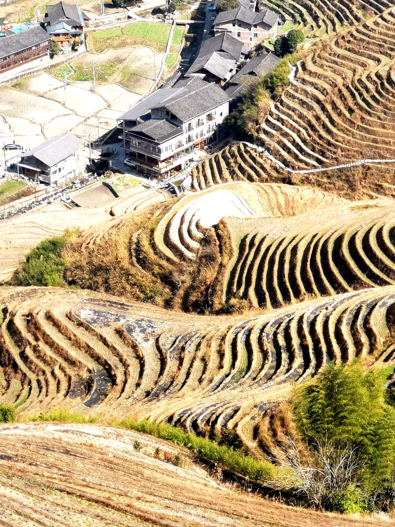 大界千层天梯观景点旅行图片 3