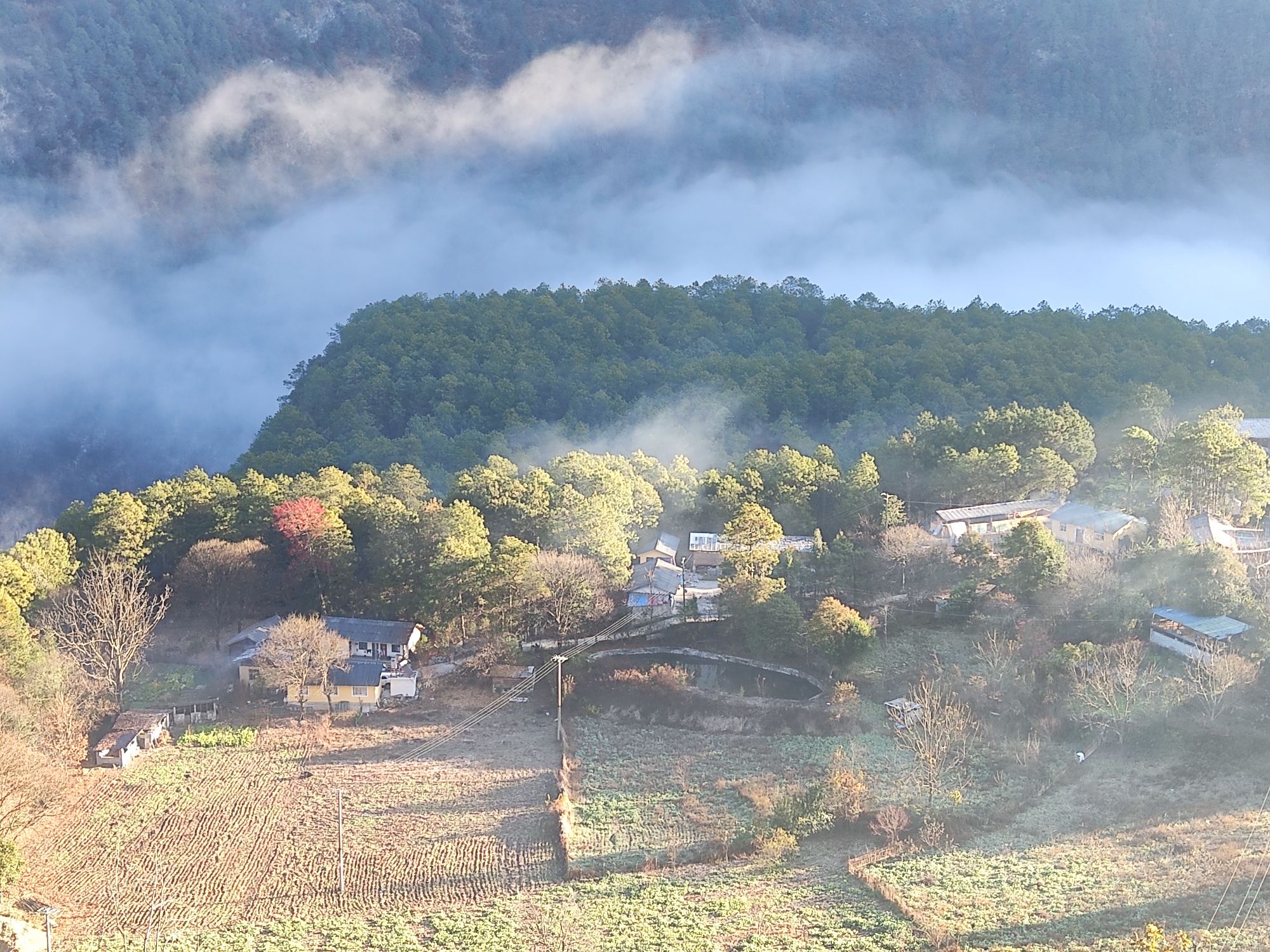 桃花岛
