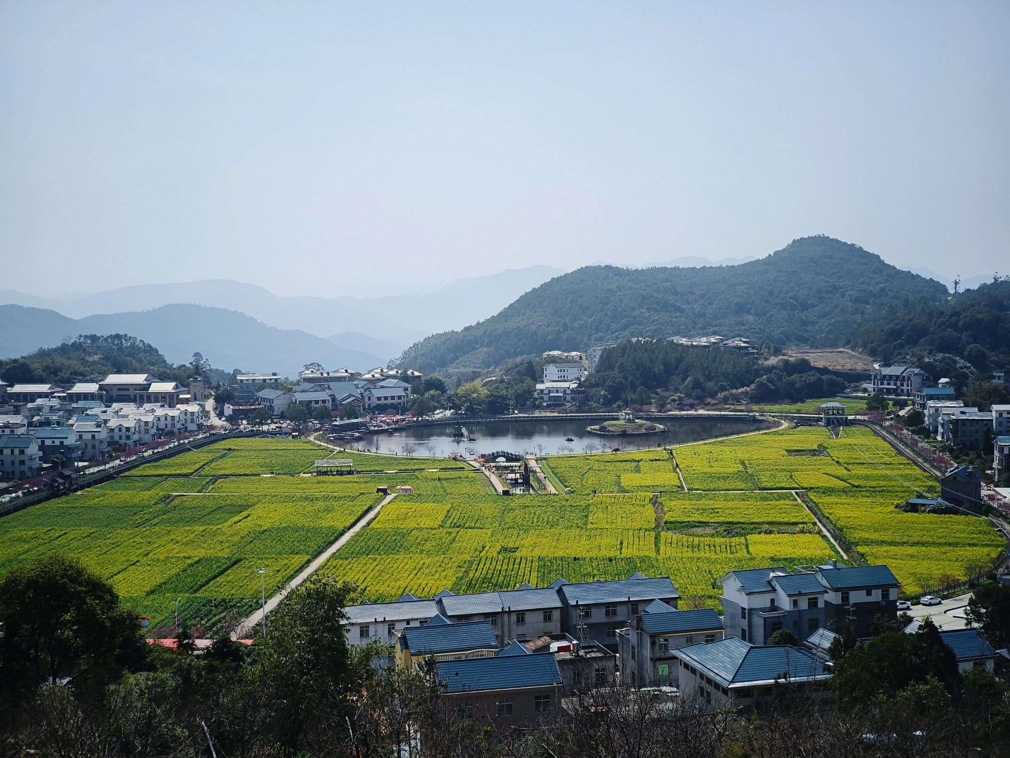 坪盘村油菜花旅行图片 1