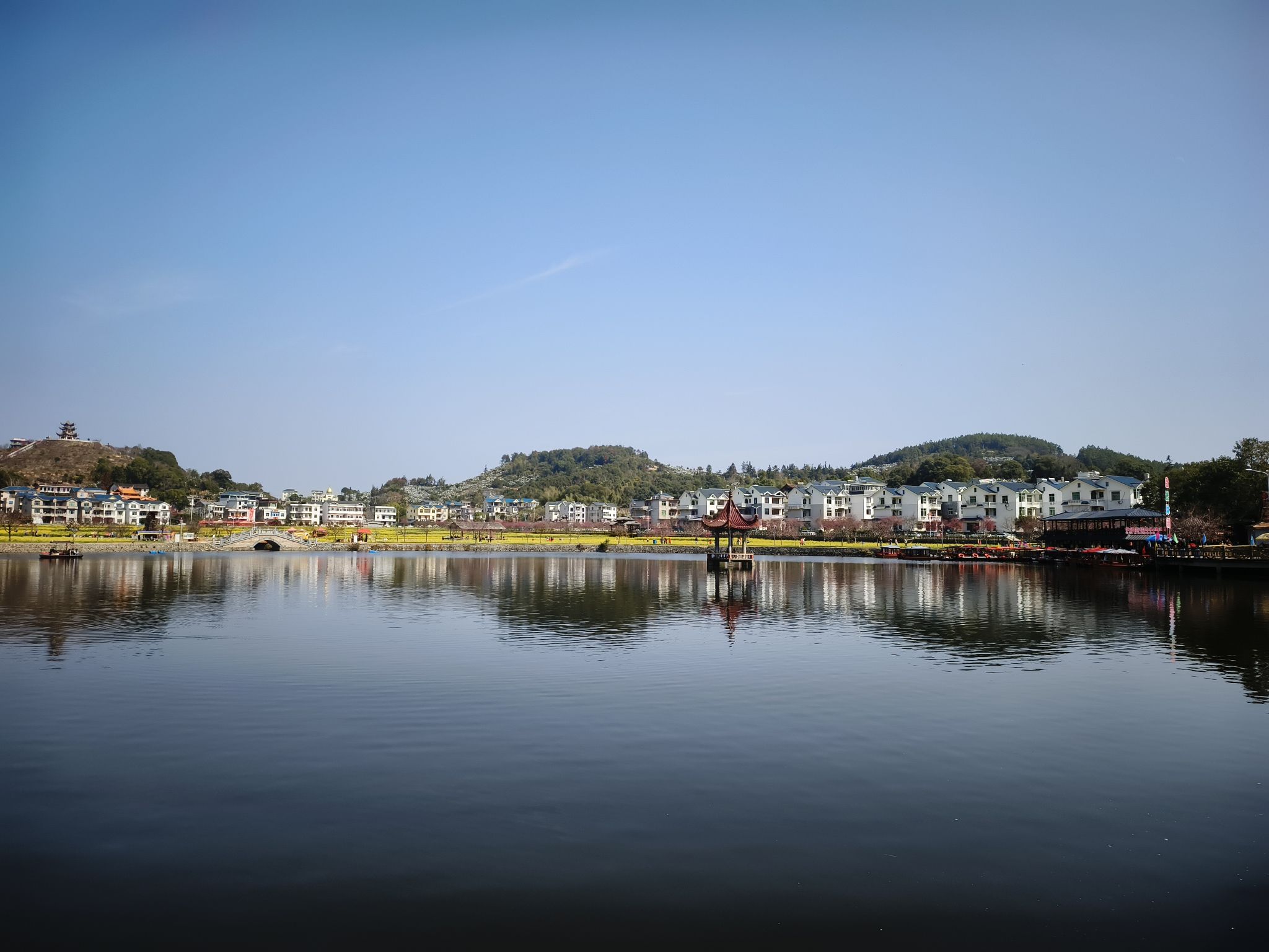 坪盘村油菜花旅行图片 2