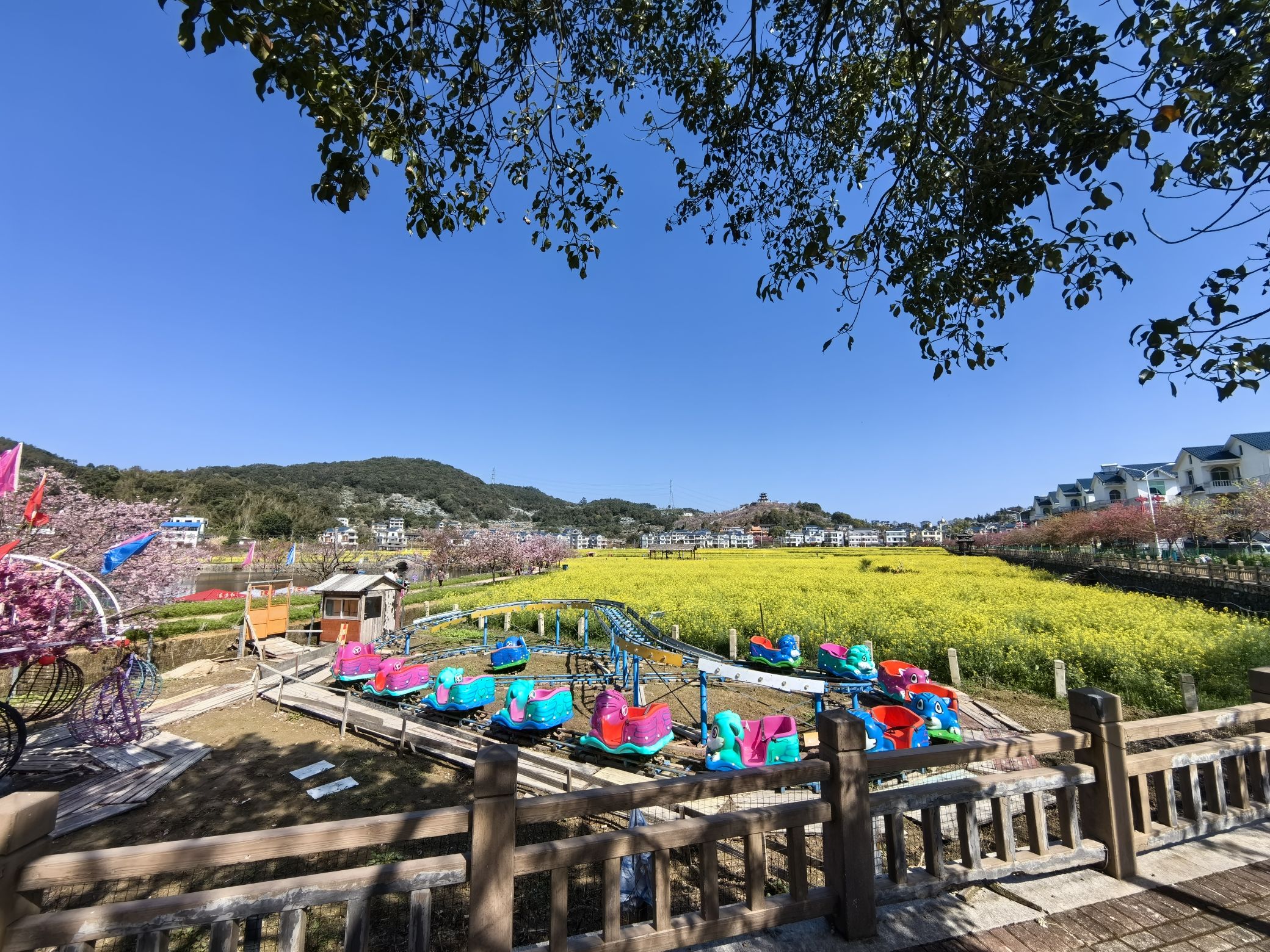 坪盘村油菜花旅行图片 3