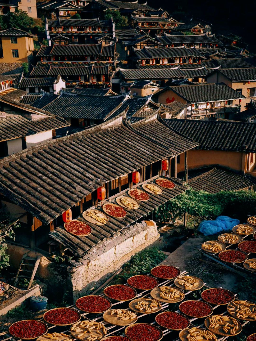 尤溪龙门银杏林旅行图片 1