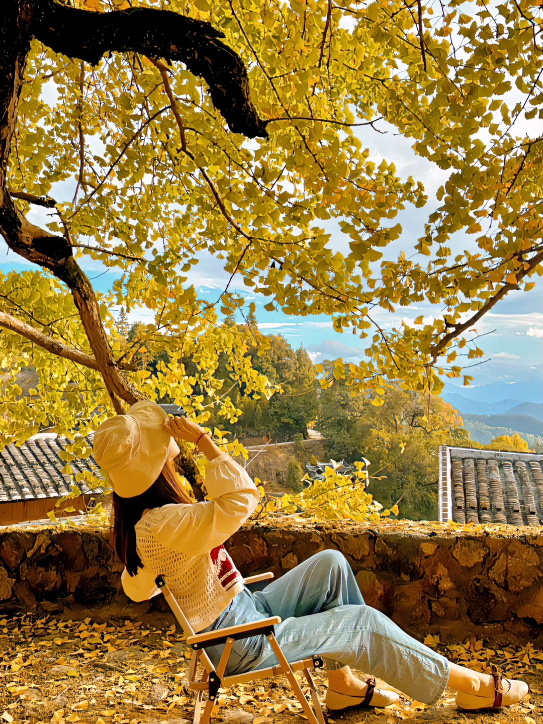 尤溪龙门银杏林旅行图片 2