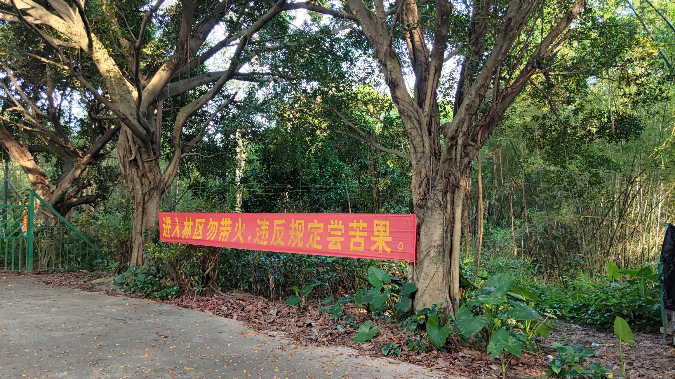 开元塔公园旅行图片 1