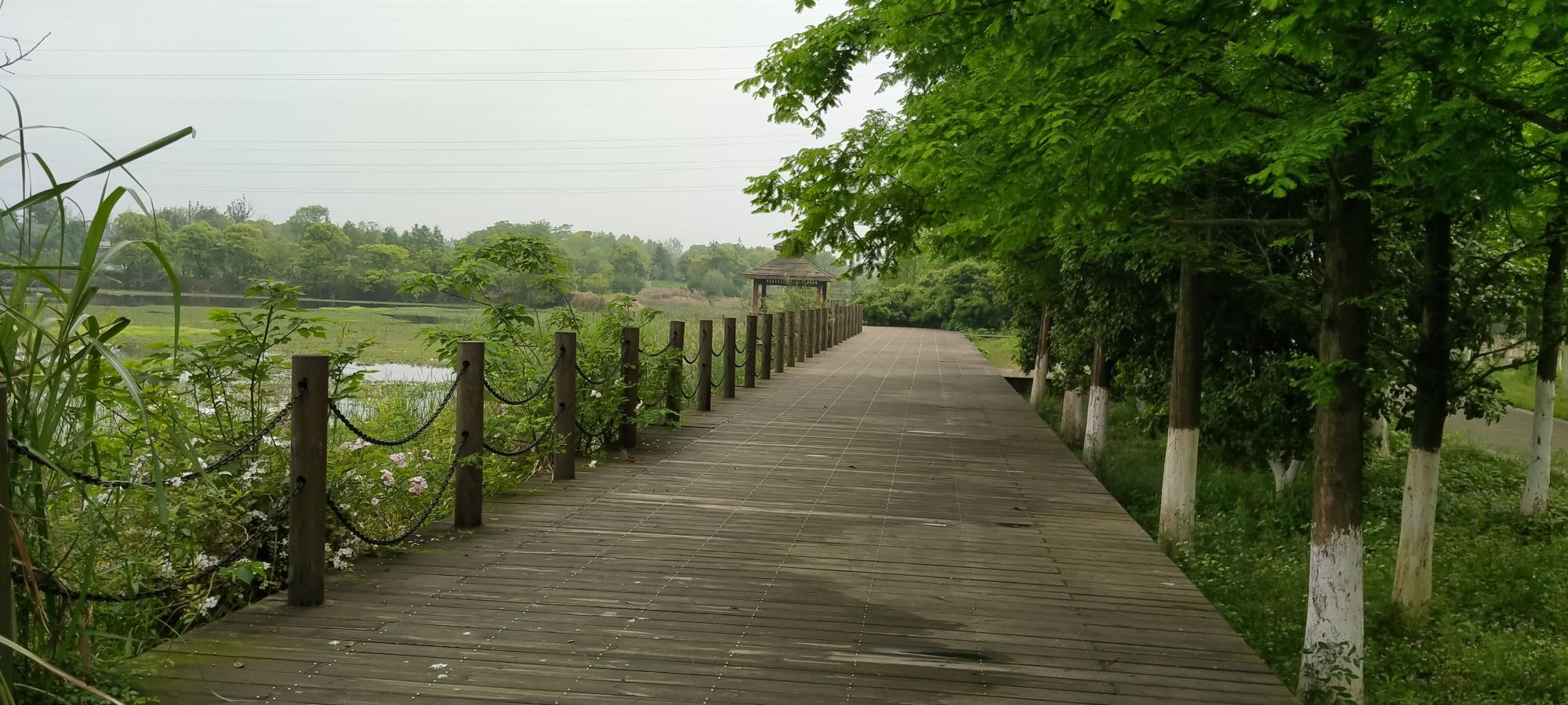 鹰潭西湖湿地公园旅行图片 2
