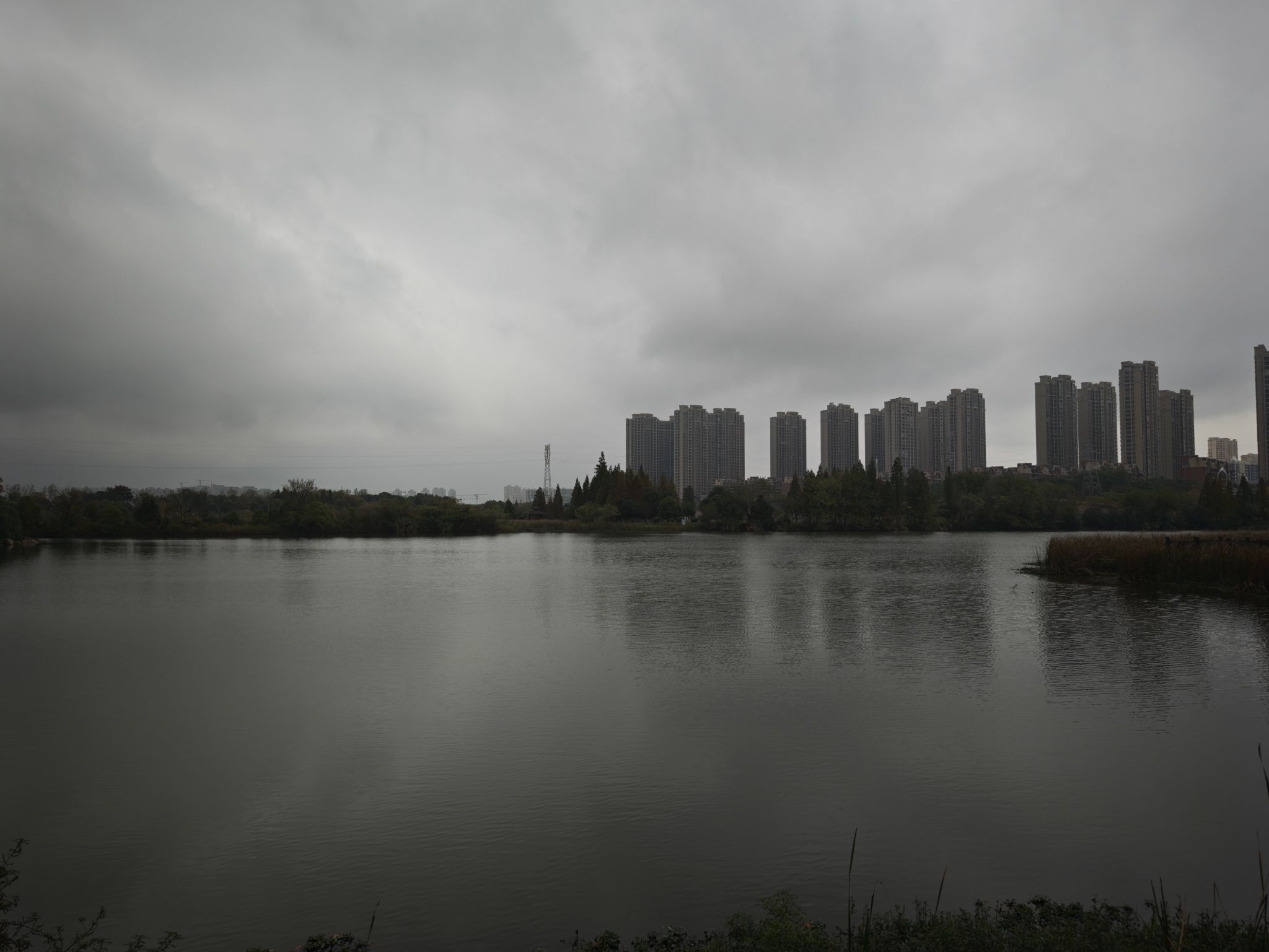 鹰潭西湖湿地公园旅行图片 2