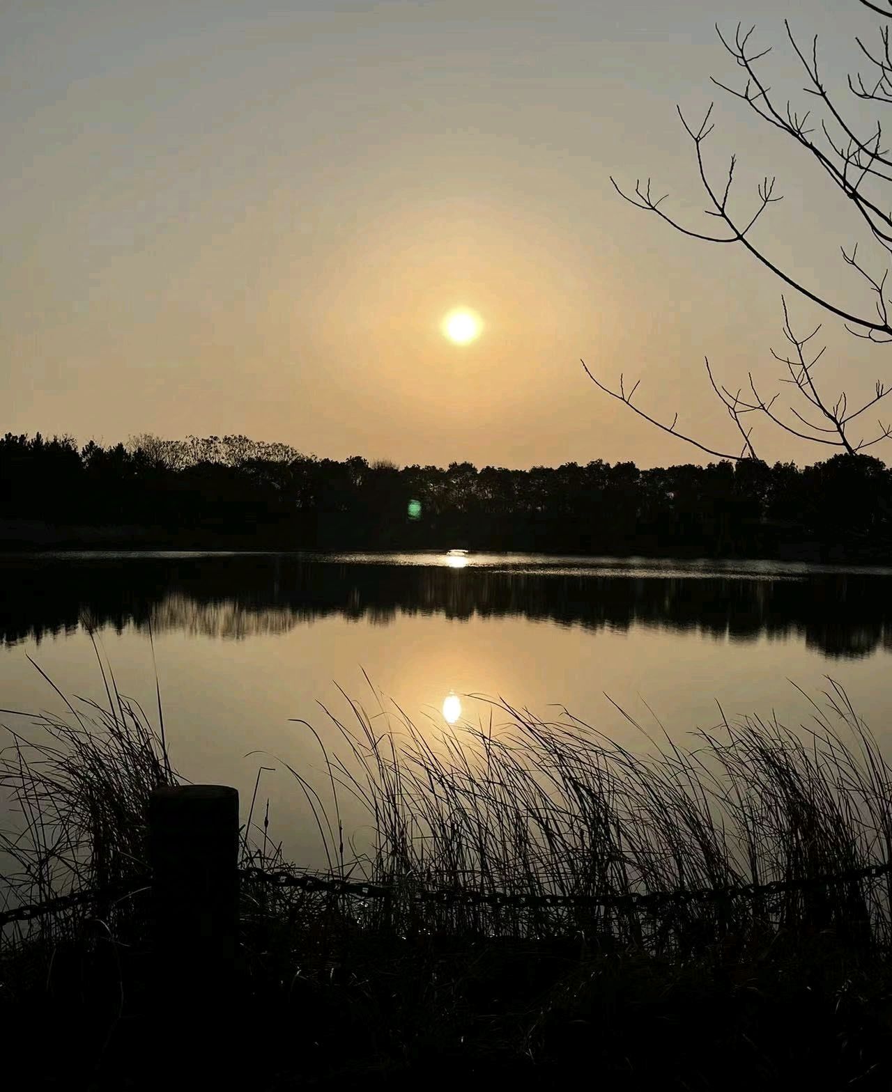 鹰潭西湖湿地公园旅行图片 2