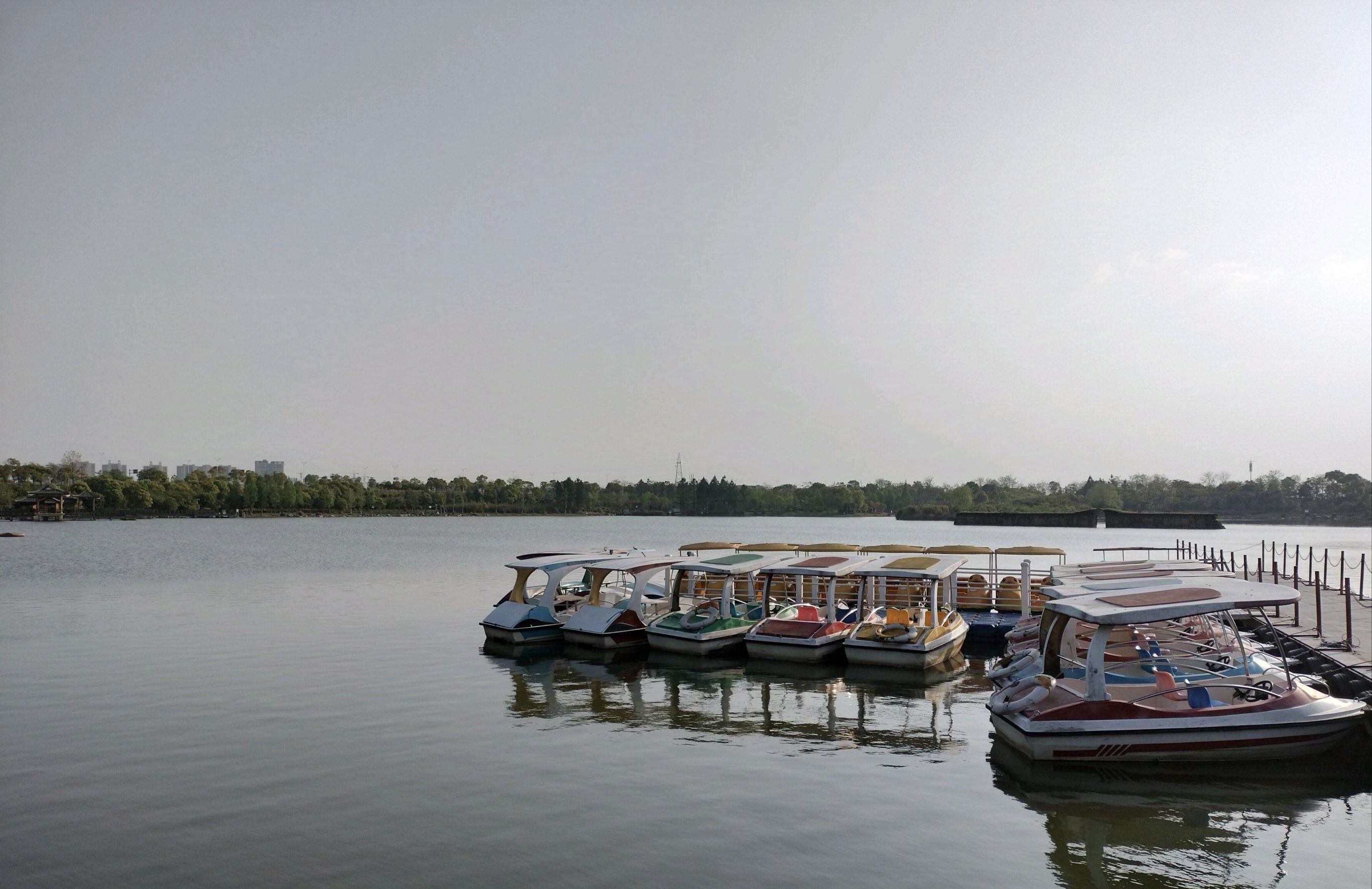 鹰潭西湖湿地公园旅行图片 3