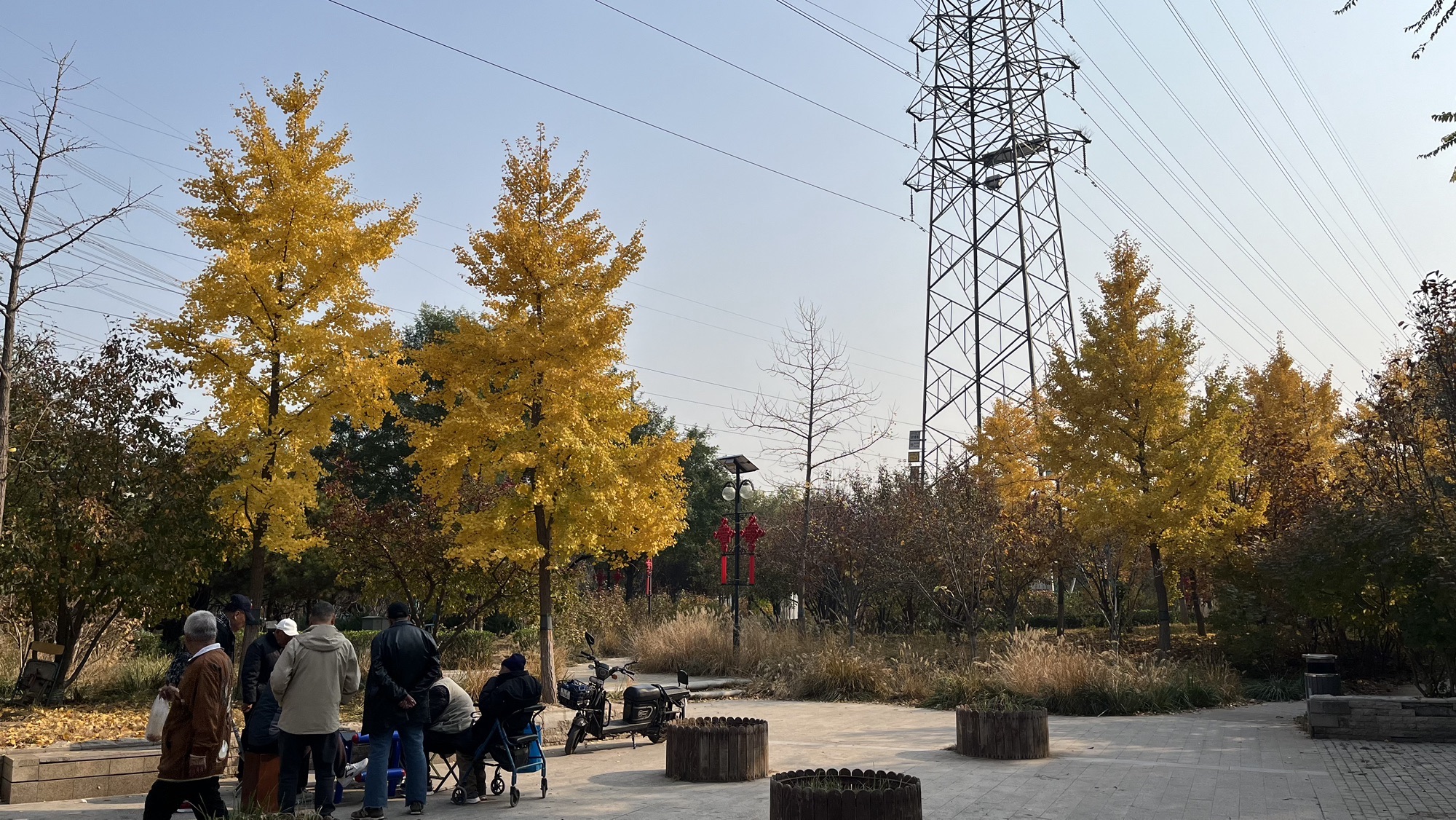 西三旗公园旅行图片 3