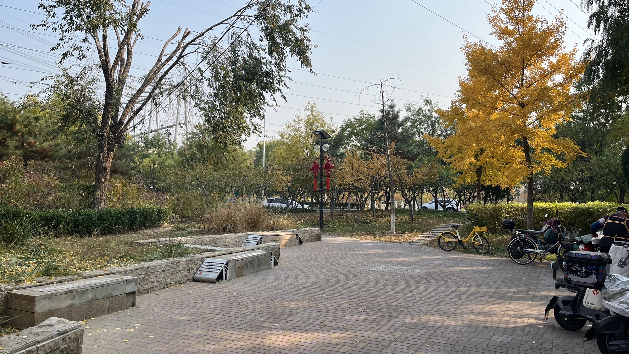 西三旗公园旅行图片 2