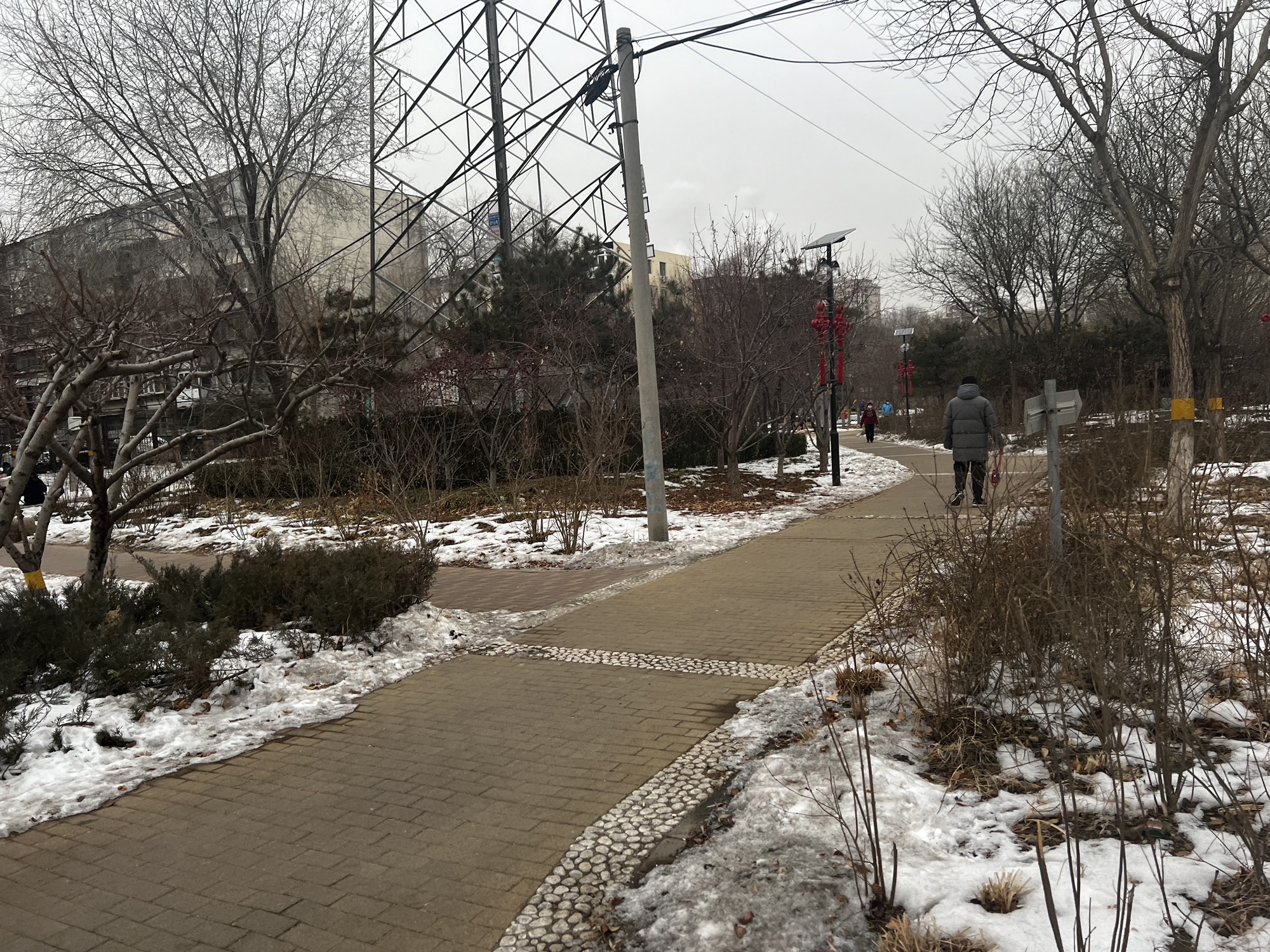 西三旗公园旅行图片 3