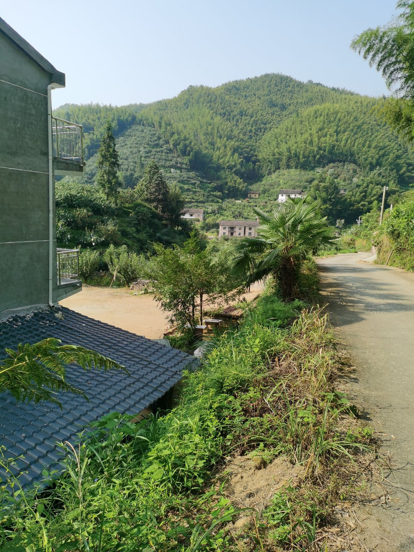 帝母殿旅行图片 2