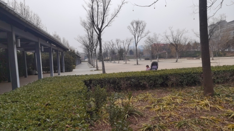 祭伯城遗址公园旅行图片 1