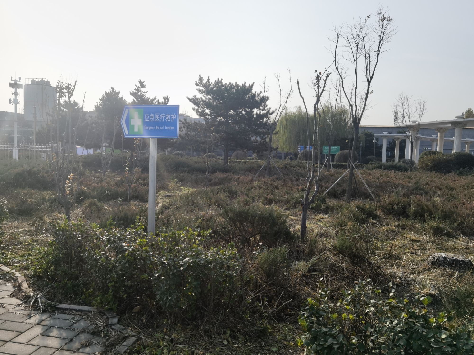 窦店人民公园旅行图片 2
