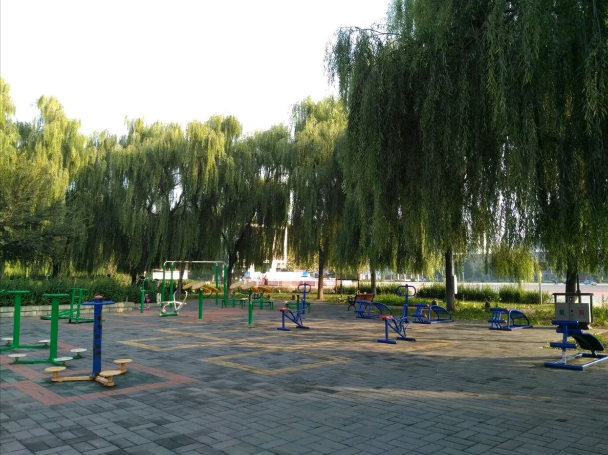 窦店人民公园旅行图片 3