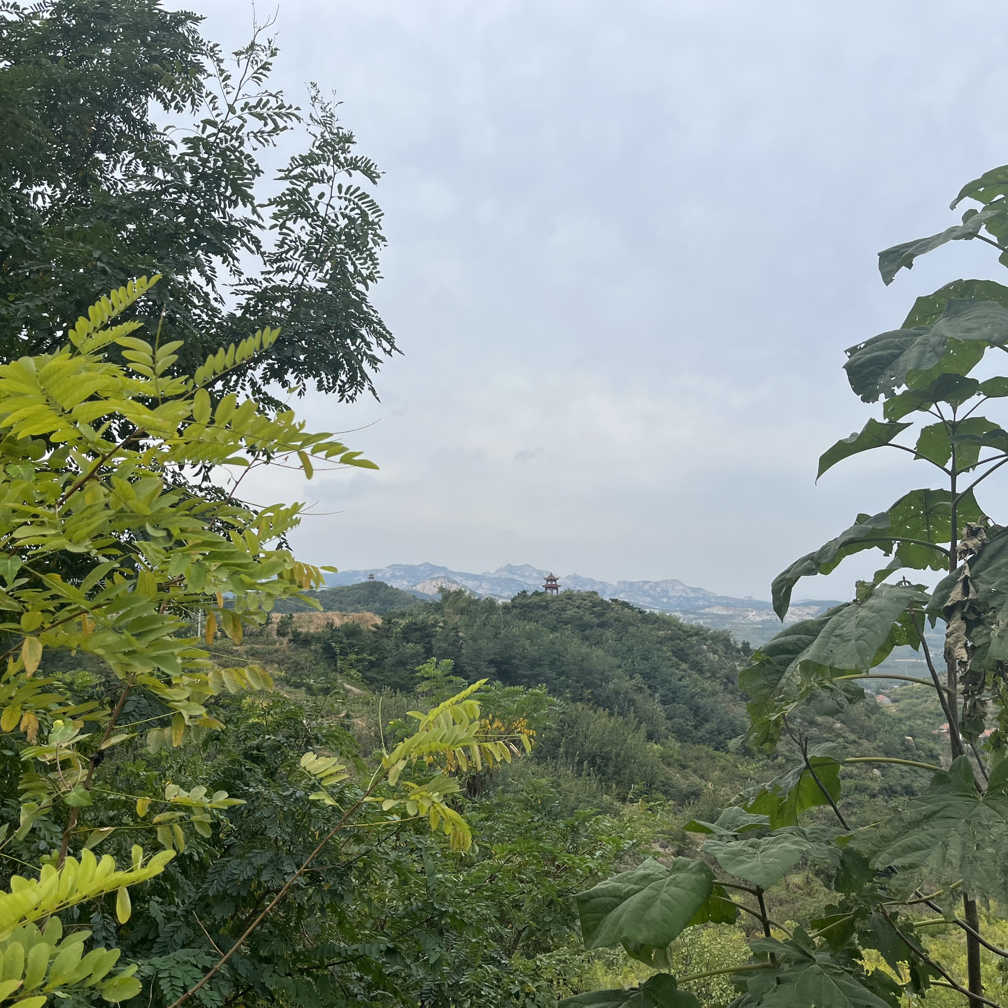 庵夼旅游旅行图片 2