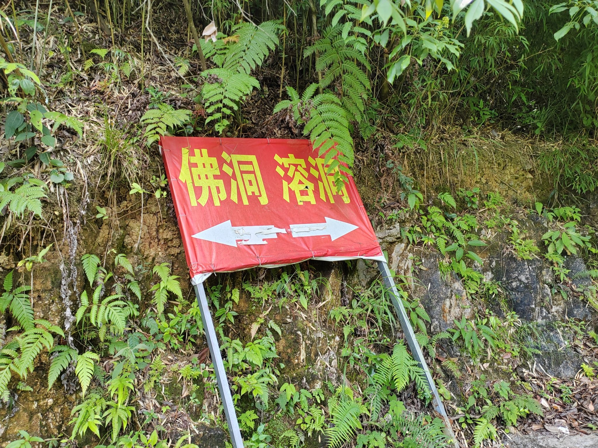 鸣泉谷生态旅游景区旅行图片 2