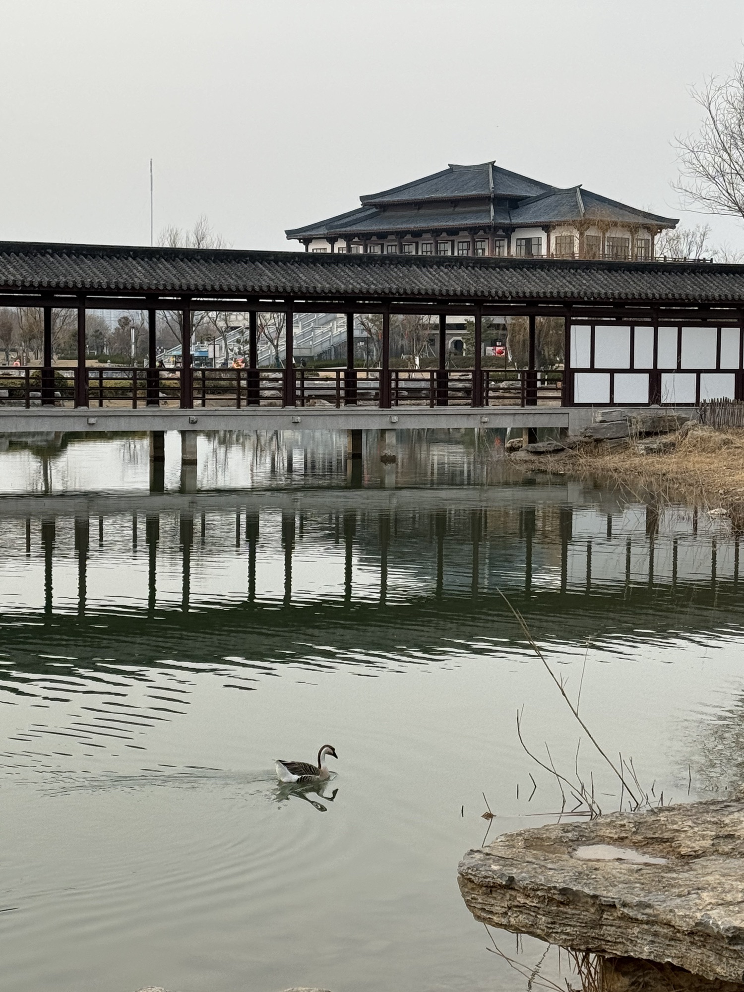 汉梁文化公园旅行图片 1