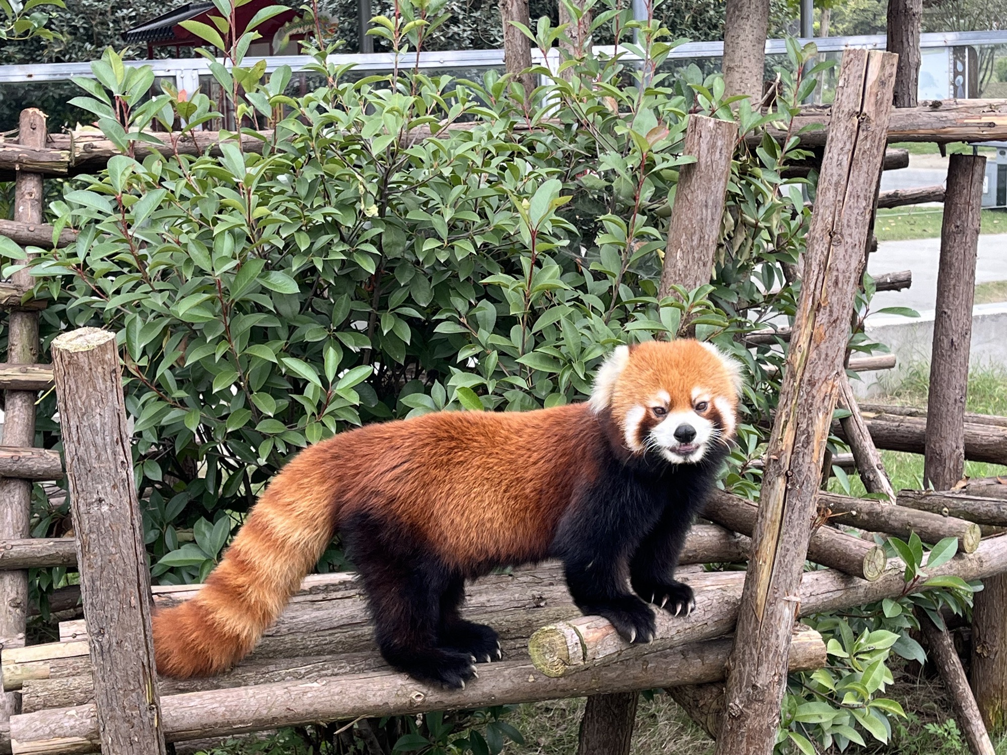 宿州野生动物园旅行图片 2