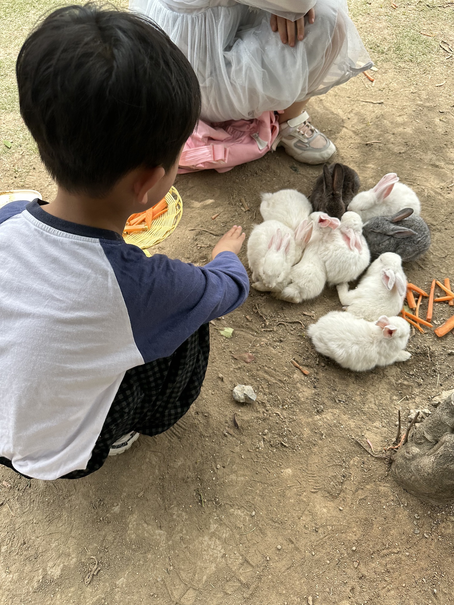 宿州野生动物园旅行图片 1