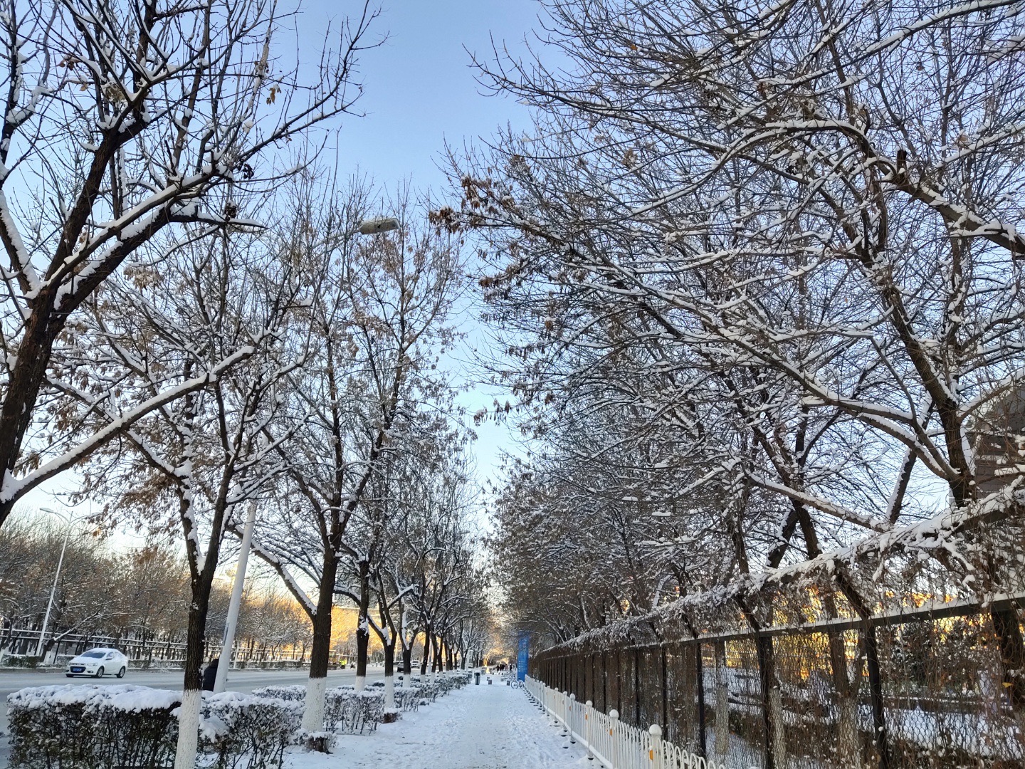 奥林匹克生态公园旅行图片 3