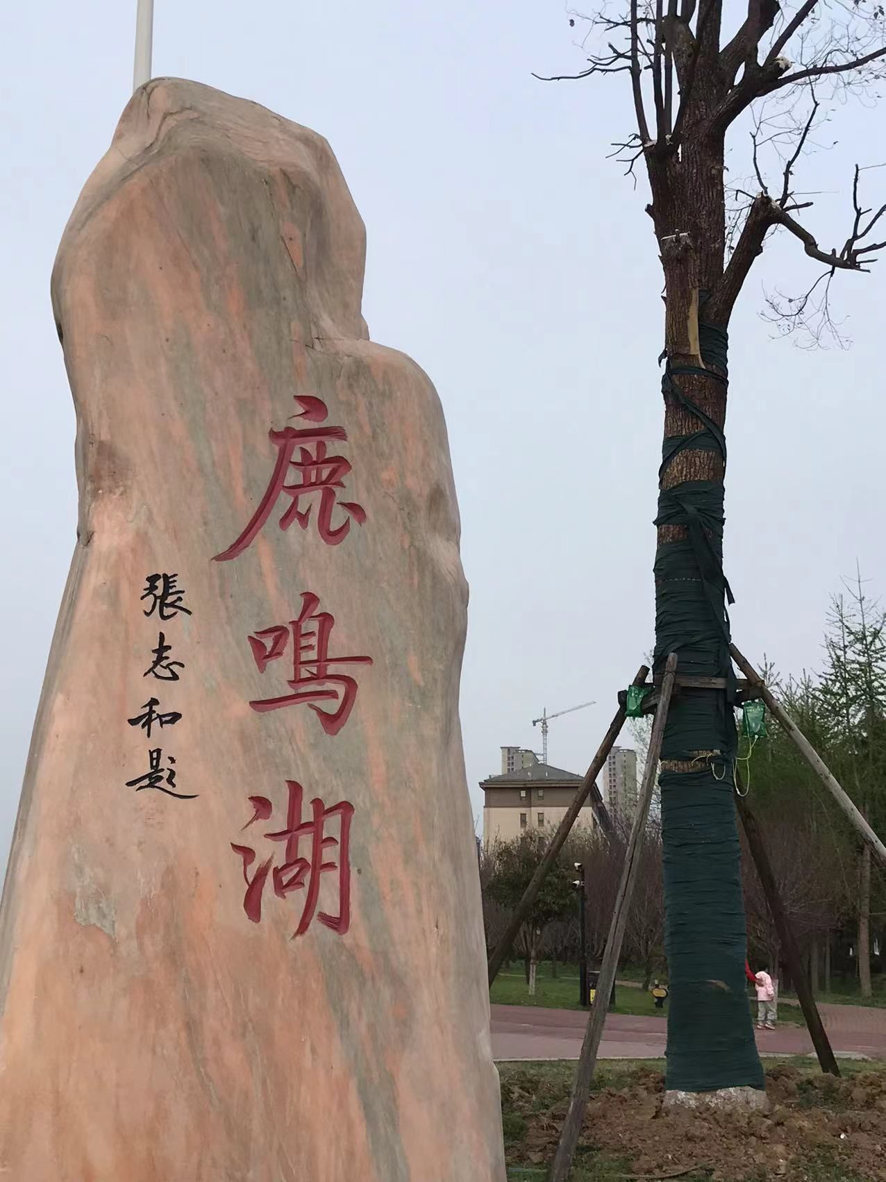 鹿鸣湖旅行图片 2