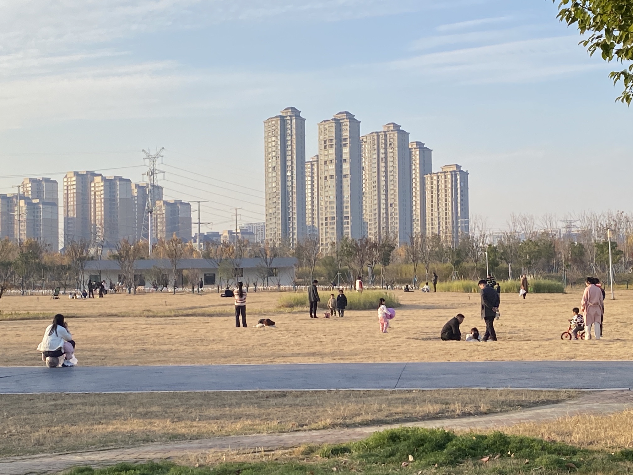鹿鸣湖旅行图片 1